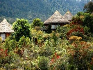 Baliem Valley Resort Wamena Ngoại thất bức ảnh